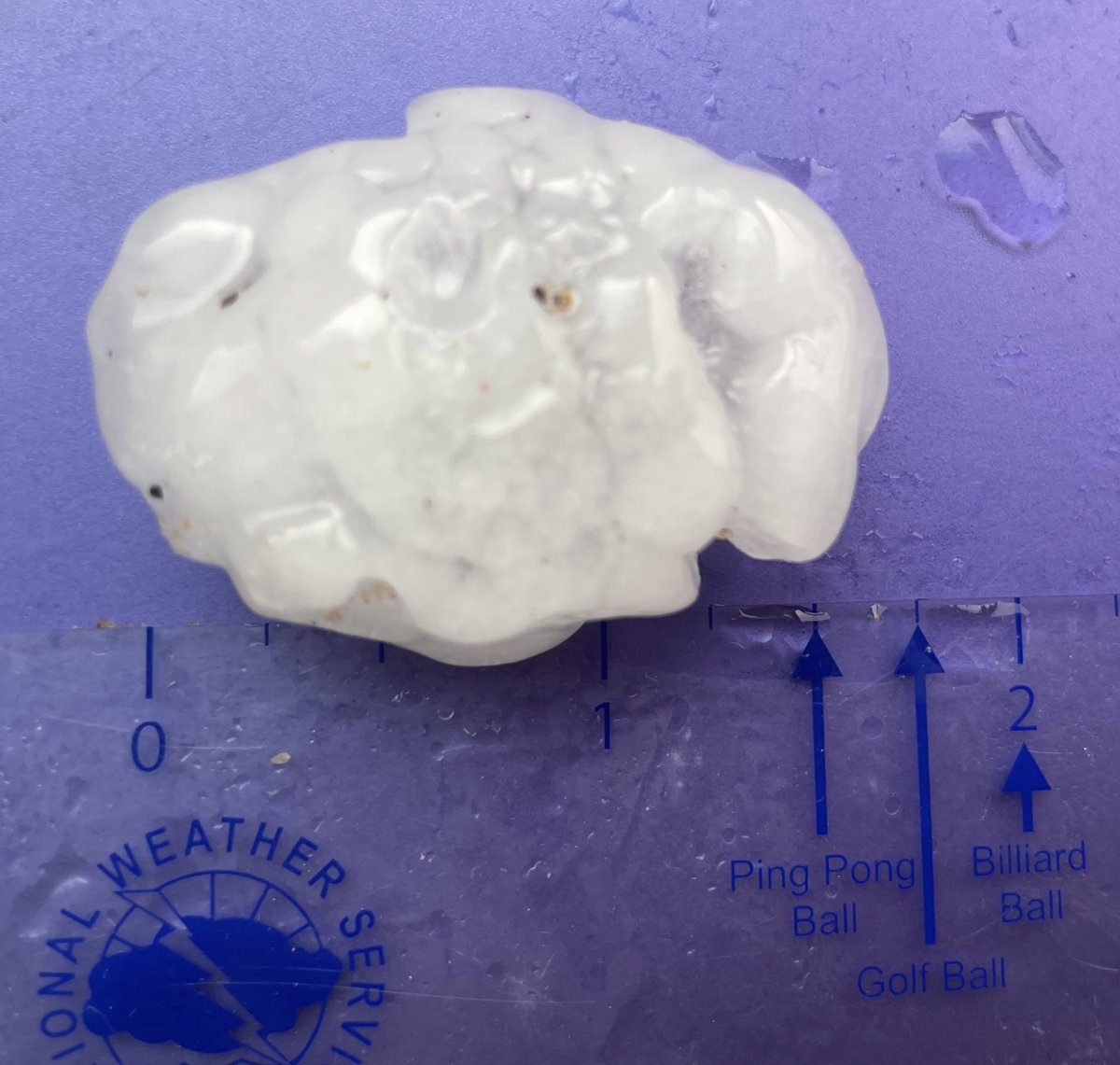 DalhartWX's tweet image. Confirmed 1.75” hail 6.5 miles south of #Channing #phwx #txwx @NWSAmarillo