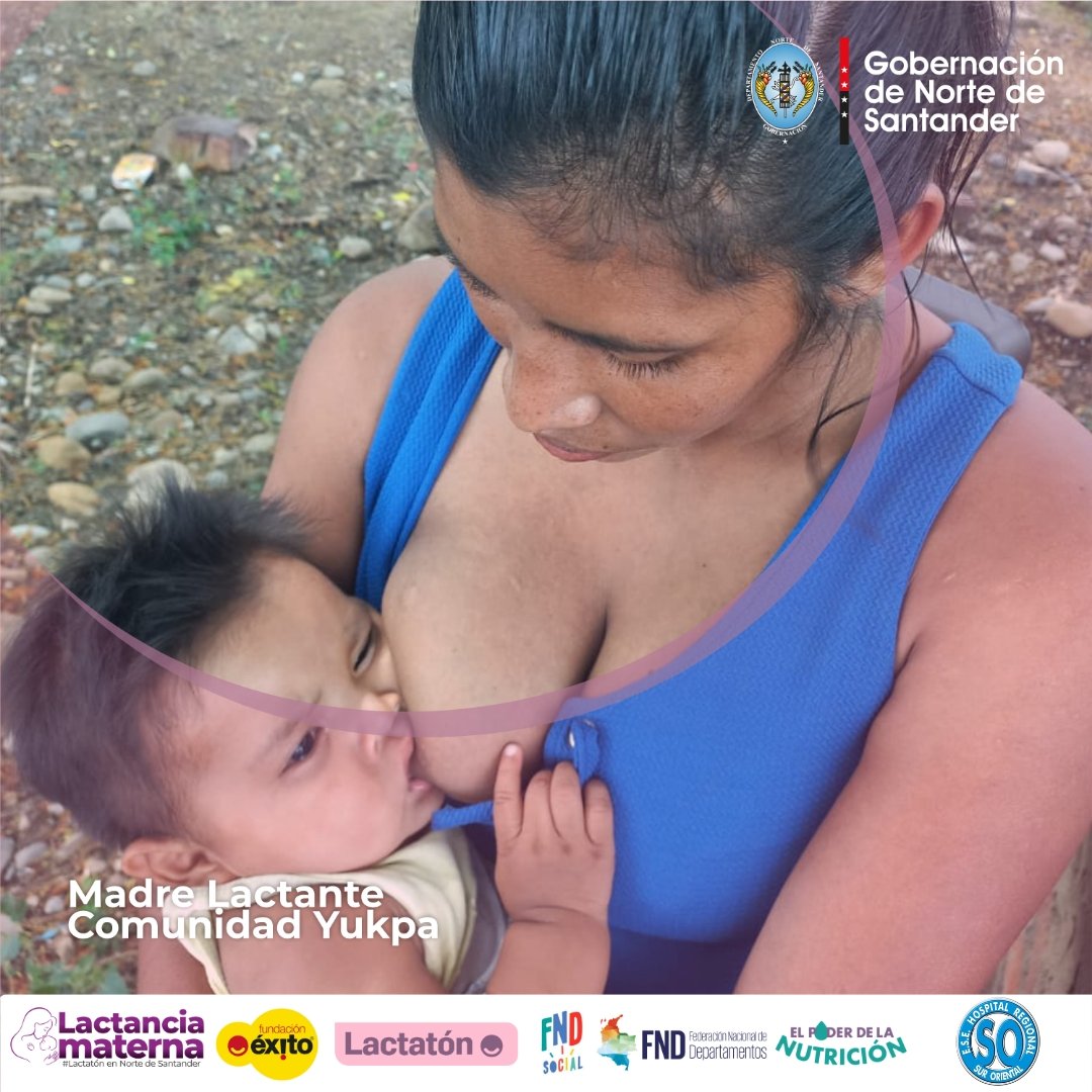 La lactancia materna es la forma óptima de alimentar a los bebés y es el inicio de una vida saludable, en la comunidad Yukpa la mamás saben los nutrientes que necesitan nuestros bebés en sus primeros díasde vida #Lactatón @Fundacion_Exito @GoberNorte #ConLasGoticasNutrimosVida