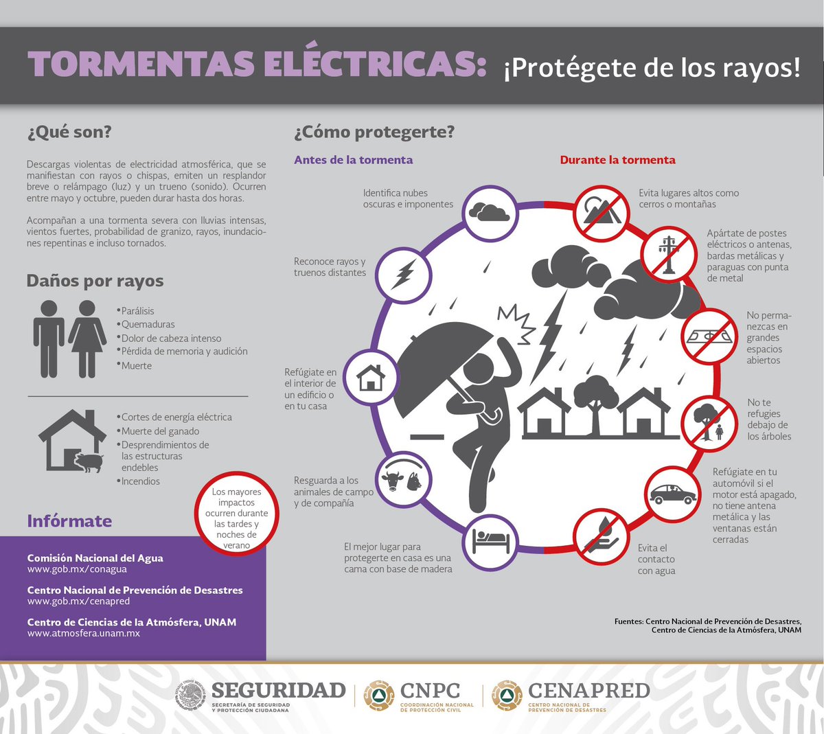 ¡No te arriesgues! Con la guía visual sobre tormentas eléctricas y medidas de protección, estarás preparado para cualquier eventualidad. Consulta el pronóstico actualizado y sigue nuestras recomendaciones para resguardarte antes y durante la tormenta. Tu seguridad es nuestra…