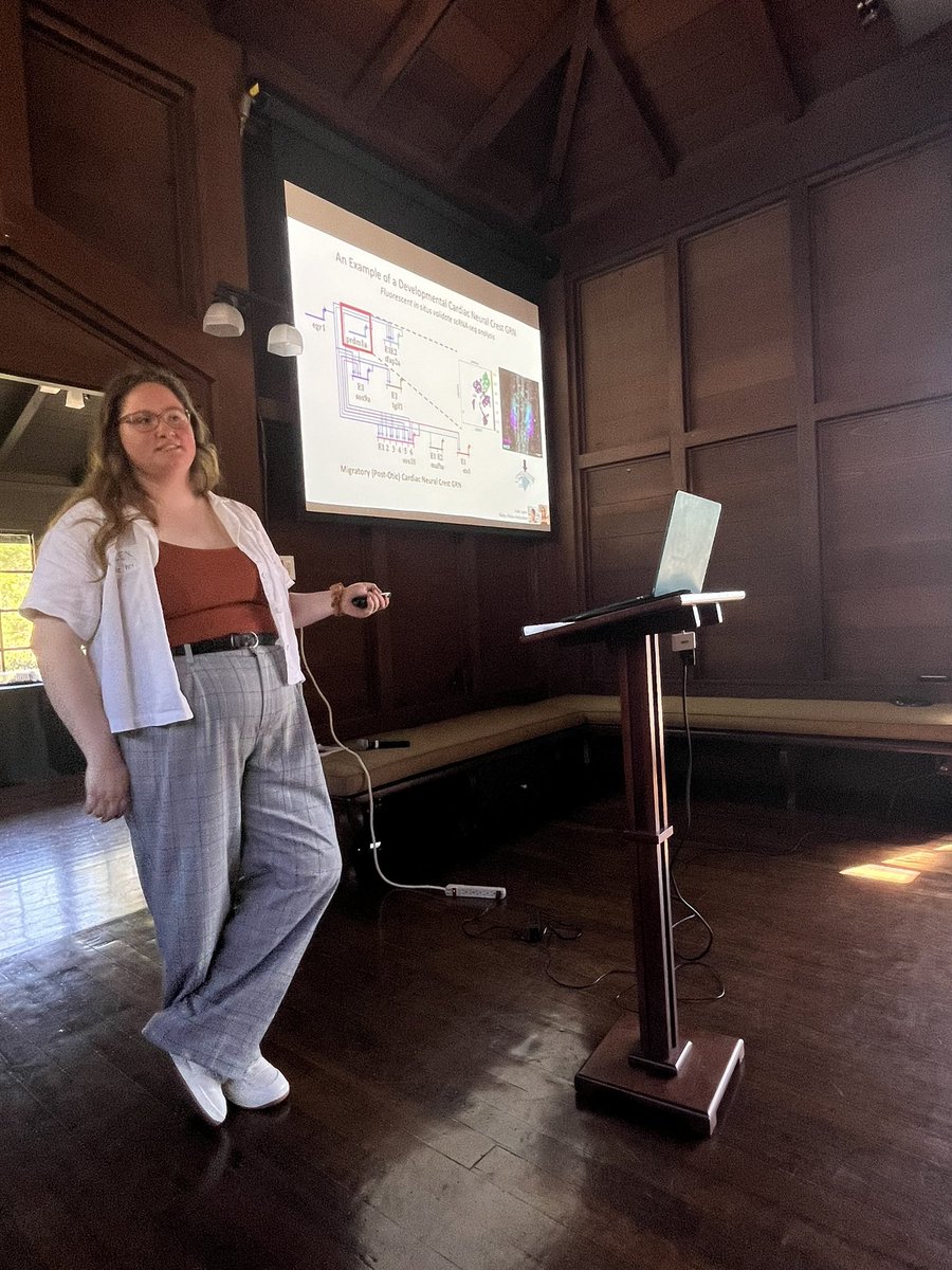 Terrific talk on role of neural crest cells in regeneration of damaged hearts by PhD student Alex Haugan in @MeganMartikPhD’s lab at the annual retreat for the Genetic Dissection of Cells and Organisms T32 Training Grant. We were in the Julia Morgan House @ucbgarden @UCBerkeley.