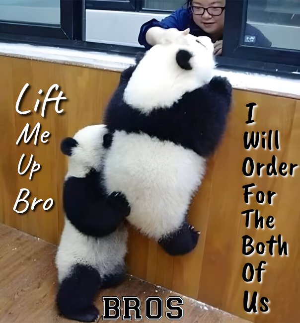 Two Better Then One

#animals #animallovers #animalsoftwitter #animalsoftheworld #animalsoftheday #bros #brotherhood #helpingothers #LeanOnMe #brolife #supportive #trending #viral #following #fyp #posts #worldwide #AHMBrand