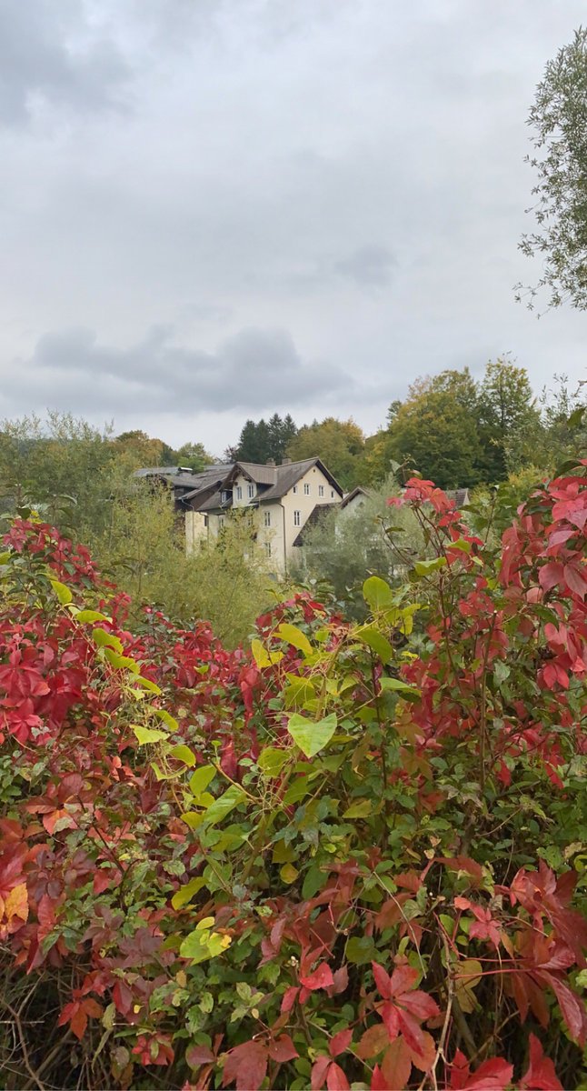 محمد البريكـــــي tweet media