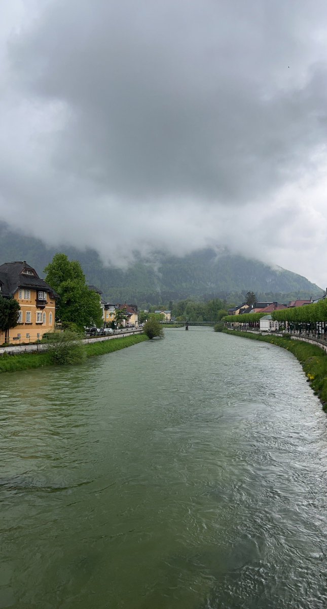 محمد البريكـــــي tweet media