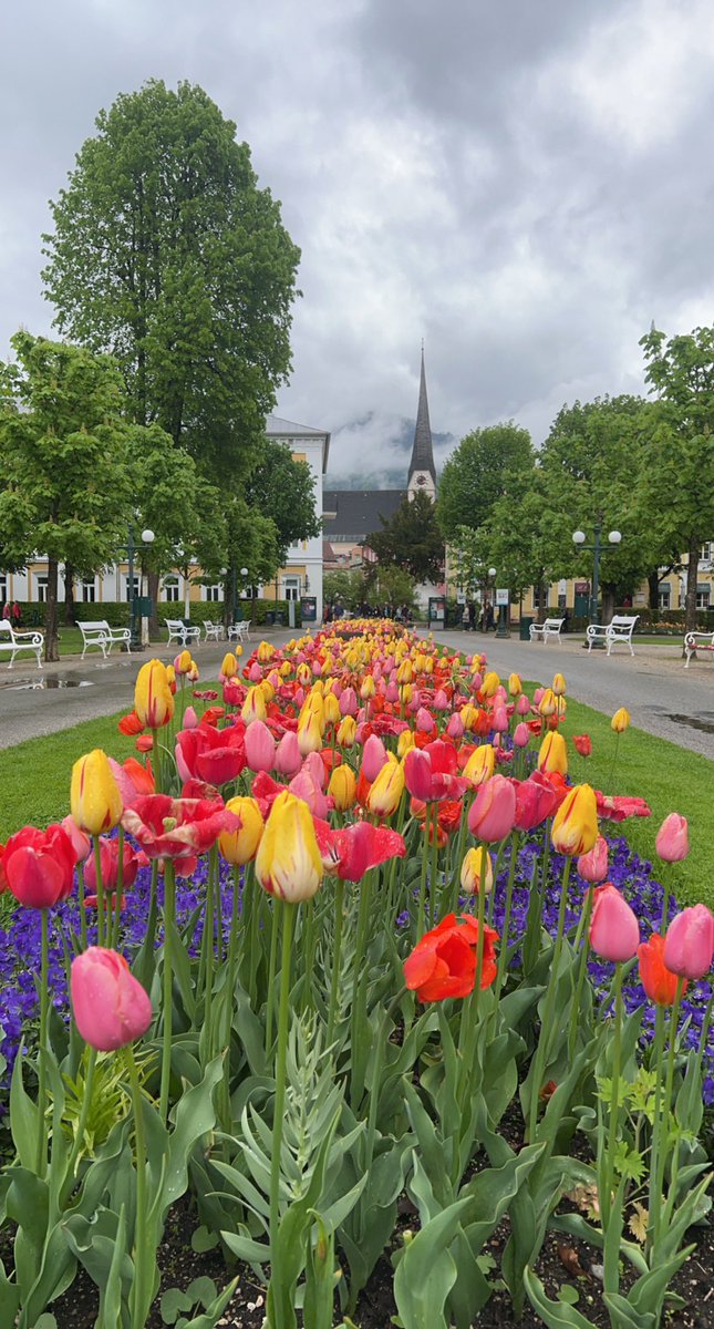 محمد البريكـــــي tweet media