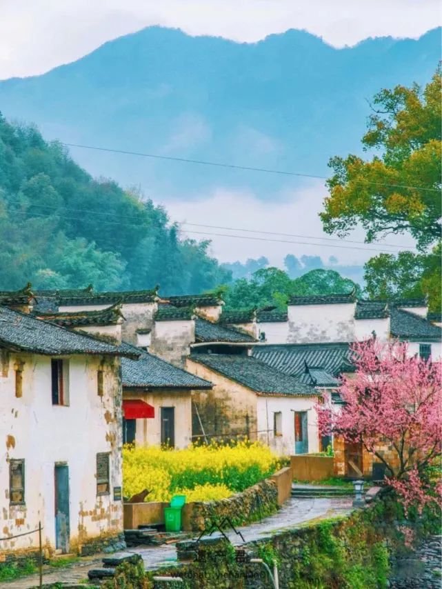 Beautiful scenery.🌿🌸#China
#Goodmorning
#NaturePhotography