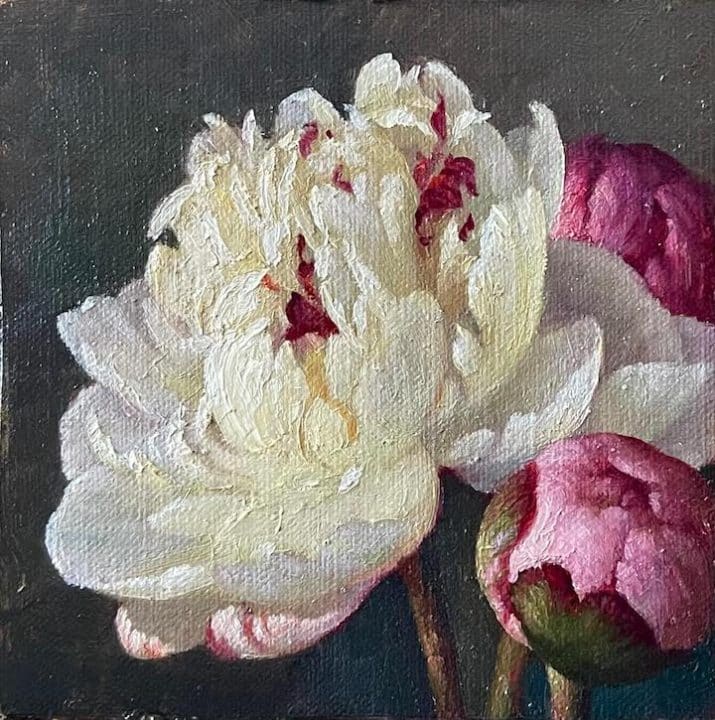 Kamille #Corry (@KamilleCorry) •White & Pink Peonies• #WomensArt #WomenArtists #ArtbyWomen