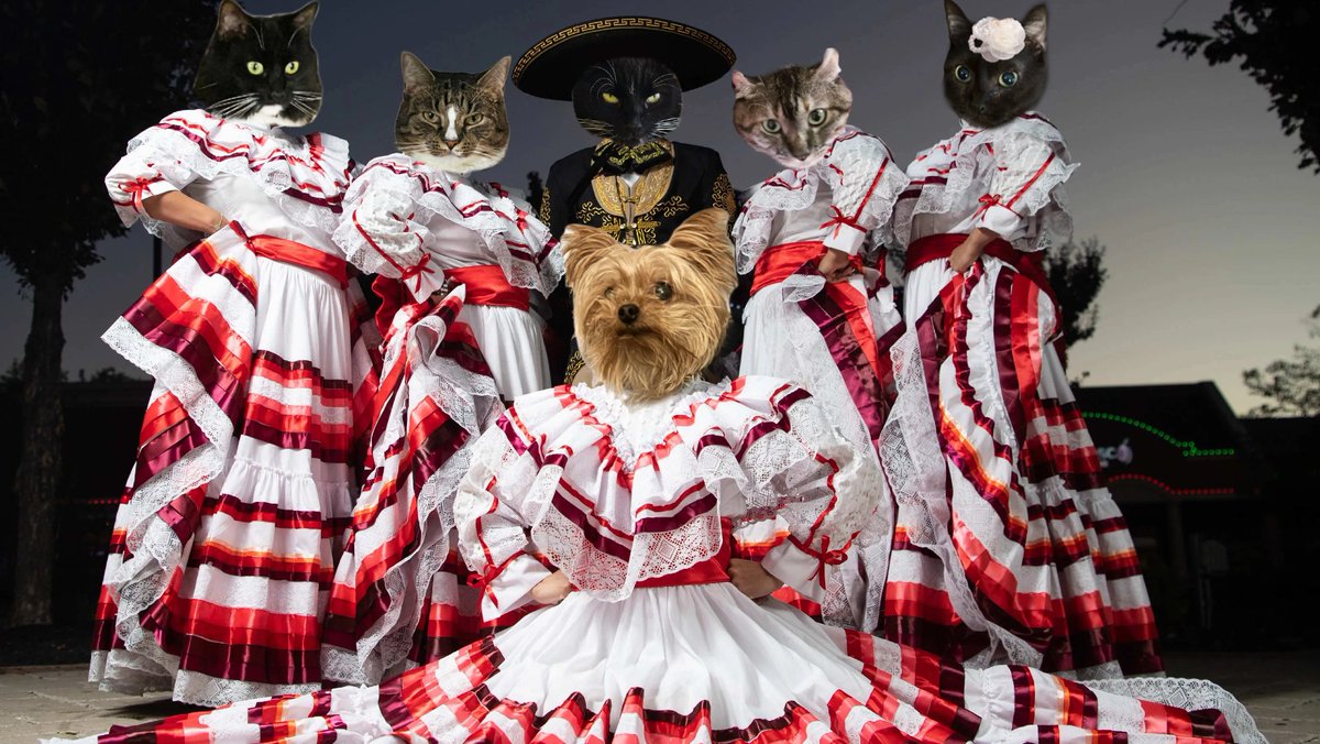 Attention, #FIESTA furriends!

Presenting:

The students of the #Xanawu Dance Academy along with members of the #CactusGulch Dance Guild, purrforming a series of skirt dances!
#ChillTent #XCats #XPups #Anipals #KittyTwitter
@TwoTabbyTails @all_fur_matters

youtu.be/cUmy1zSQcuI?si…