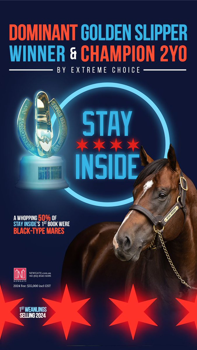 Dominant Golden Slipper Winner & Champion 2YO by Extreme Choice 🐎 🔴 STAY INSIDE 🔴 A whopping 50% of Stay Inside’s 1st book were black-type mares @NewgateFarm 1st Weanlings Selling 2024 ⬇️ newgate.com.au/horse/stay-ins…