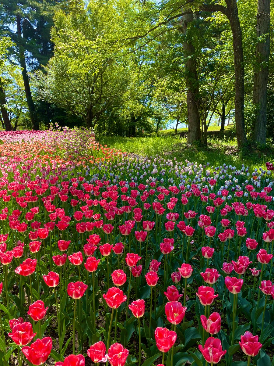 楽園💐