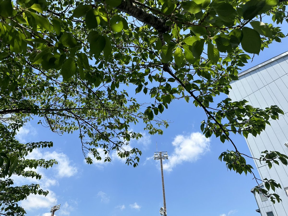 ＼おはようございます／ 5月4日（土）東京都 #江東区 今日は「みどりの日」快晴☀️です 工場内の木々の葉も、太陽をたくさん浴びて元気です❣️ 今日も気温が上がるようなので、水分補給を忘れず、楽しみましょう⤴️⤴️ #企式が毎朝地元の天気を言い合う #企業公式が朝の挨拶を言い合う…