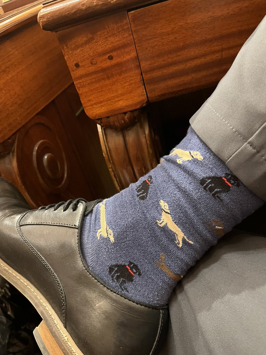 Jonkoznick's tweet photo. In celebration of Charlie’s bday. I broke out the #Kozdogs socks today. https://t.co/4qQNZXSx7E