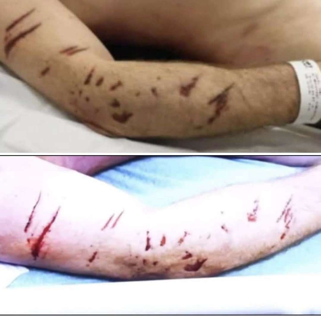 BThundermuffinReborn tweet media