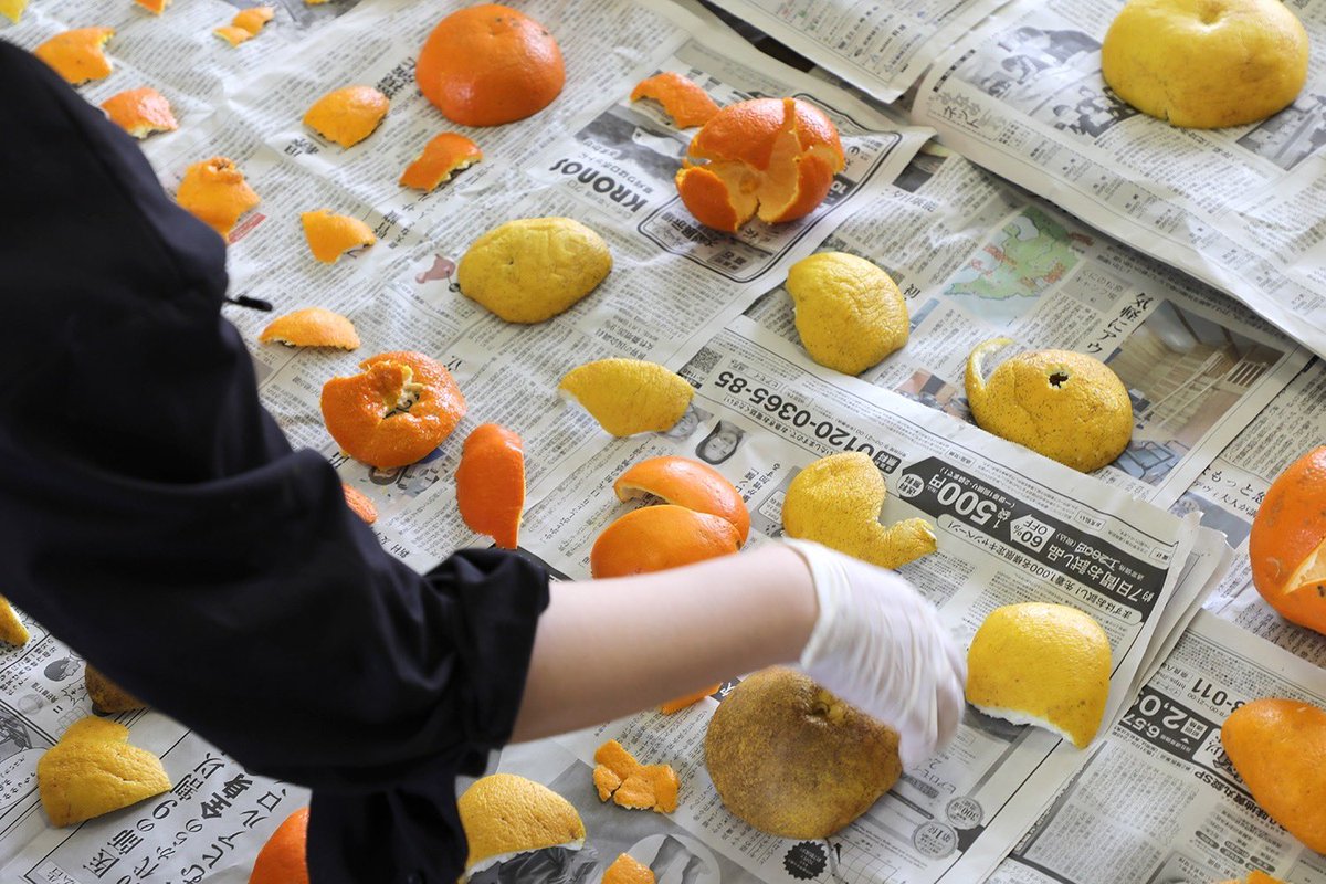 miki___n's tweet photo. 地域の子どもたちと一緒に作った柑橘の陳皮を地域の温泉に入れてきた🍊♨️ https://t.co/7xjLarq25t