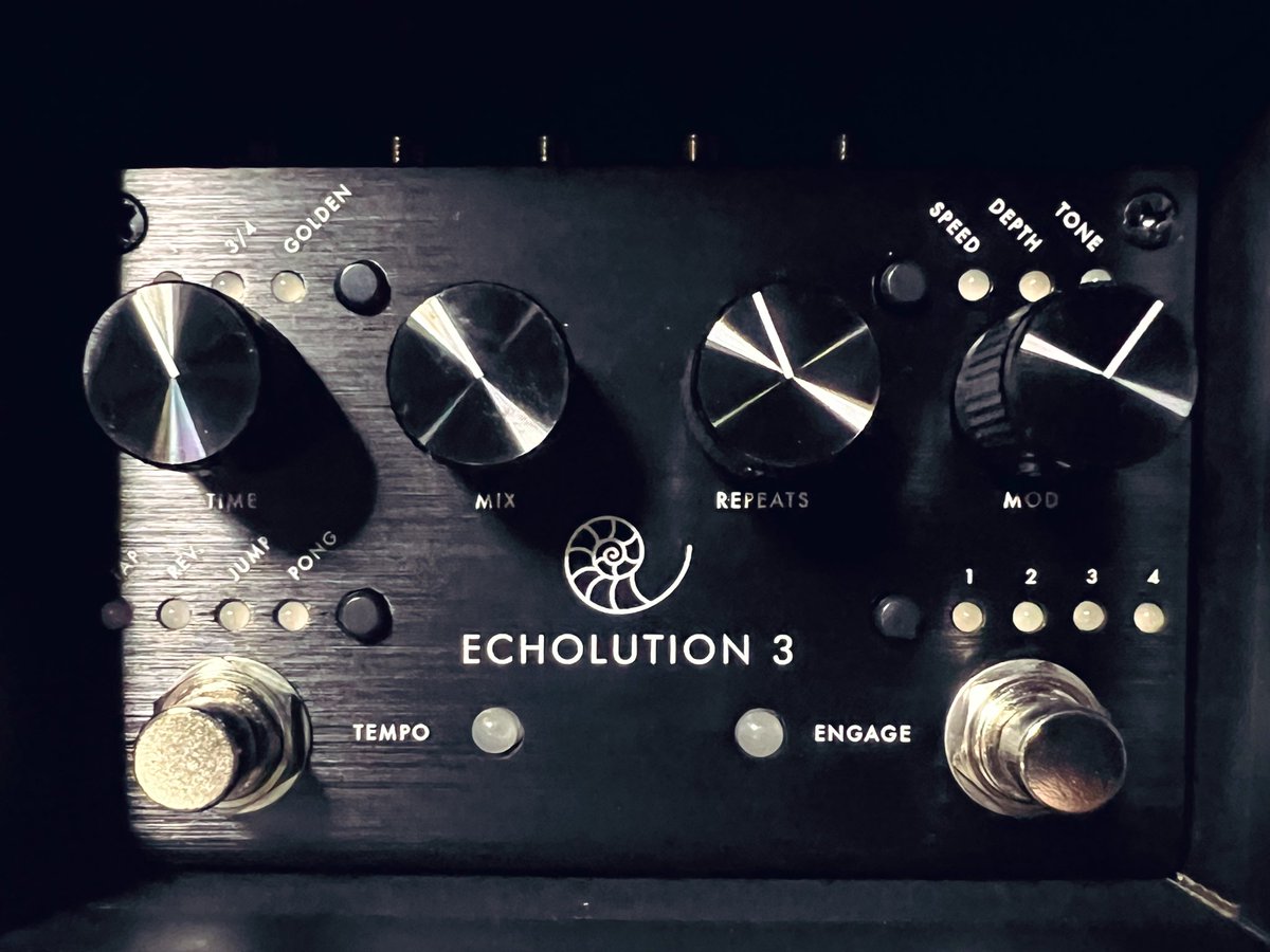 PIGTRONIX Echolution 3 エコー ディレイ エフェクター Echolution 3 - Pigtronix