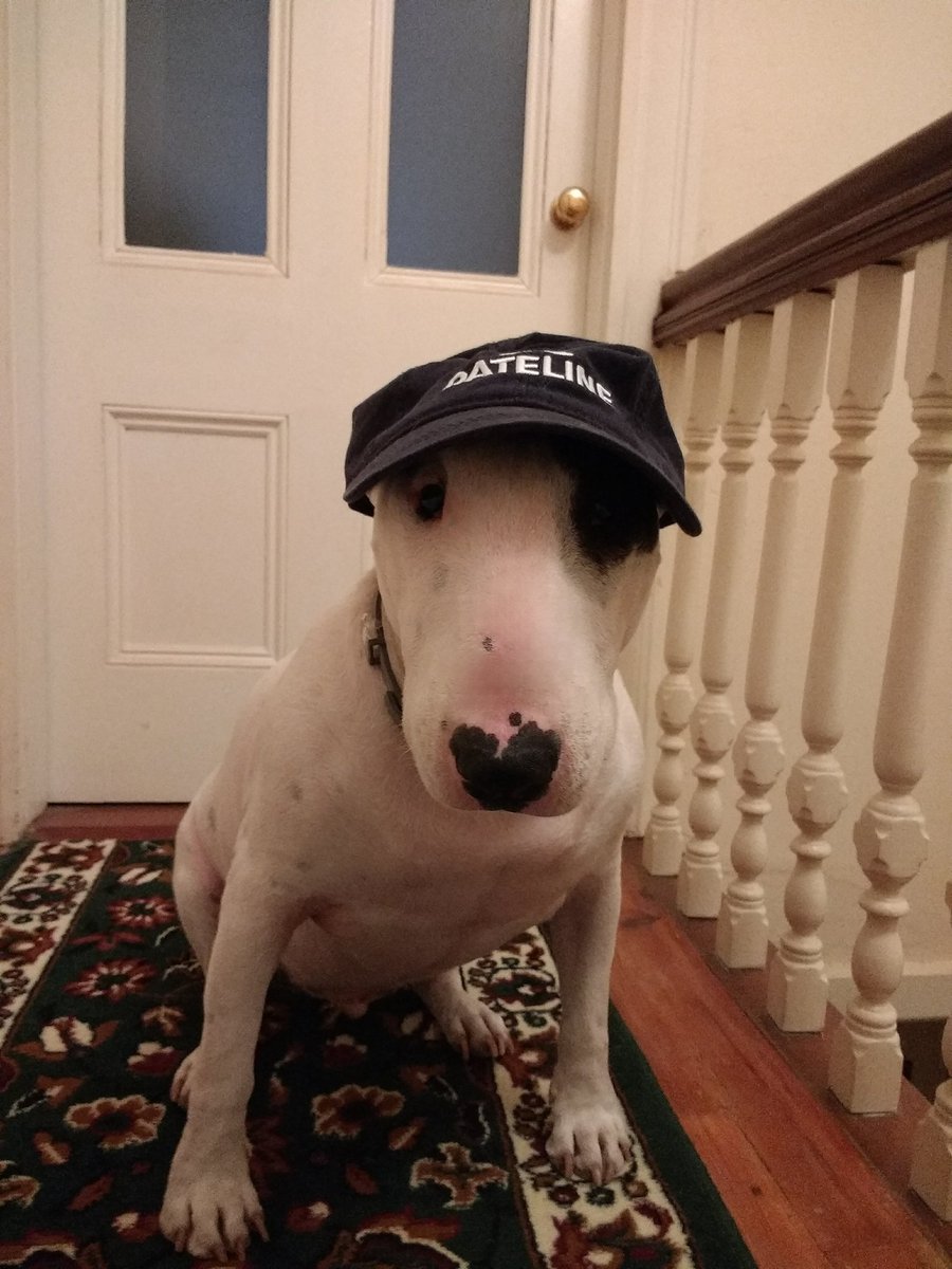 They had 2 cats?  Then how is it a mystery how she fell down the stairs?
#TruthBomb #Dateline @DatelineNBC @DatelineNBCProd @dateline_keith