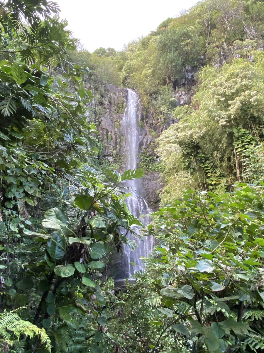 Road to Hana #roadtohana #maui #Hawaii #NatureBeauty #waterfall