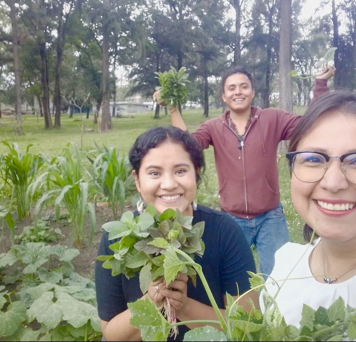 Hoy en el día de la Santa Cruz ❤️‍🔥 di un taller donde cocinamos todas y todos un delicioso chileajo, un caldo de guías e hicimos agua de telimón, gracias a @CCDmx por su invitación !!! Cortamos quintoniles y guías de la Milpa en @CencalliCultura y llovió 🌧️ estoy feliz ♥️