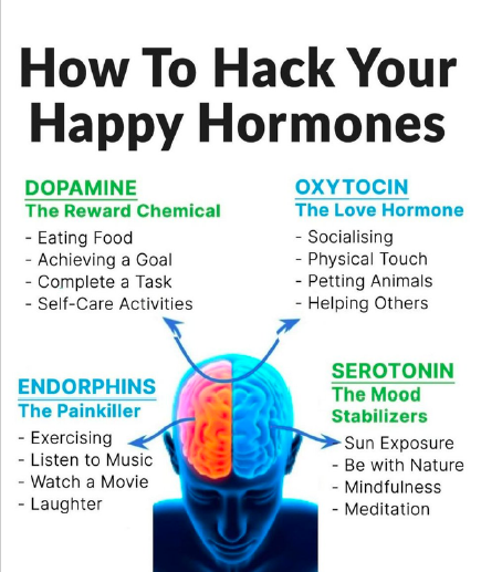 wisdomcascade's tweet photo. How to hack your hormones... https://t.co/9u0VVeE7Sr