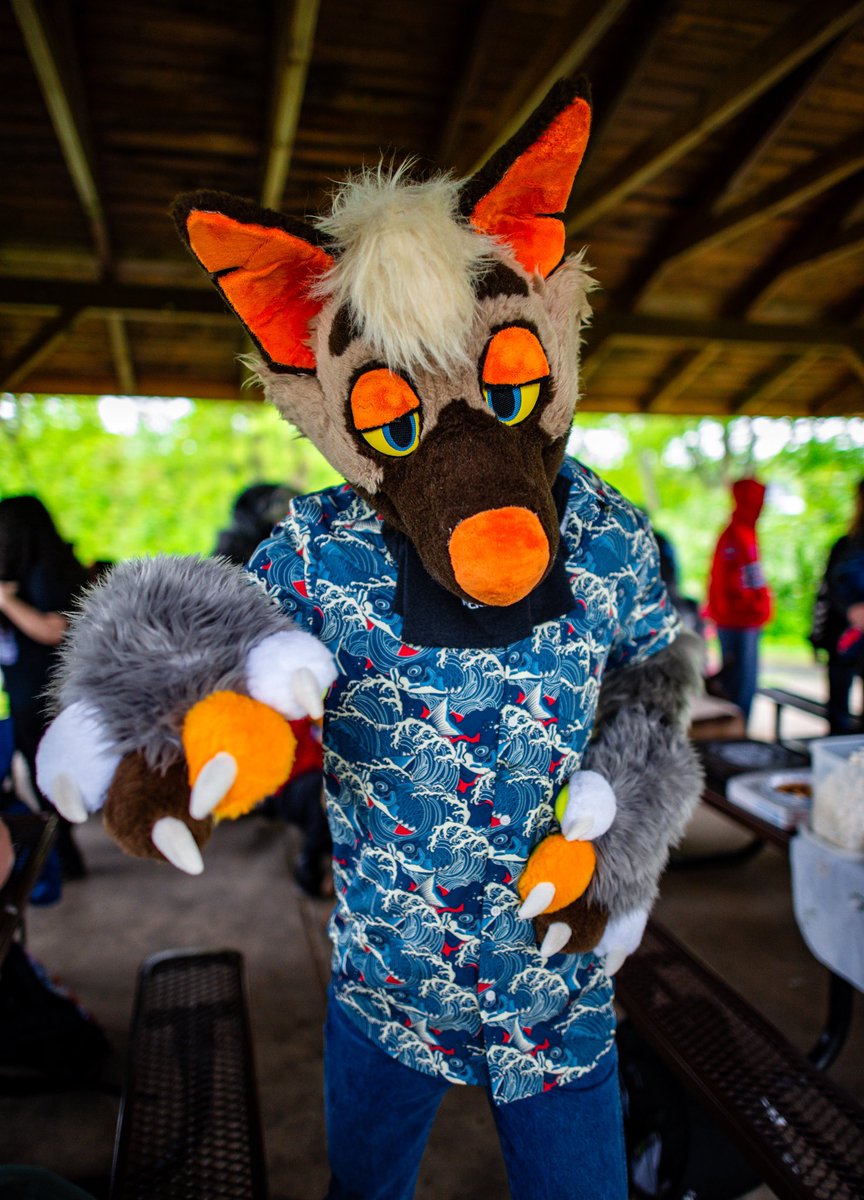 I’m Gamma Yeen? Happy Fursuit Friday yall! I’m super hyped for FWA to meet new friends and see old ones! #FursuitFriday 📸@IronYote