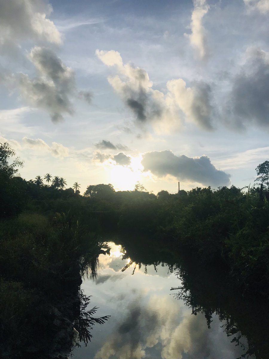 AkilaSilva8's tweet image. After long I went here to get first lights in day.. walks are very specific for me. It’s like I clear every heavy thoughts in my head with every step I am in.. 
#morningwalks #morningsunlight