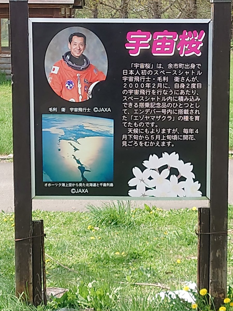 #北海道　#余市
道の駅スペース・アップルよいちにて。

やたら宇宙推しなので何故？
と思ったら、宇宙飛行士の毛利さんが余市出身なのね。