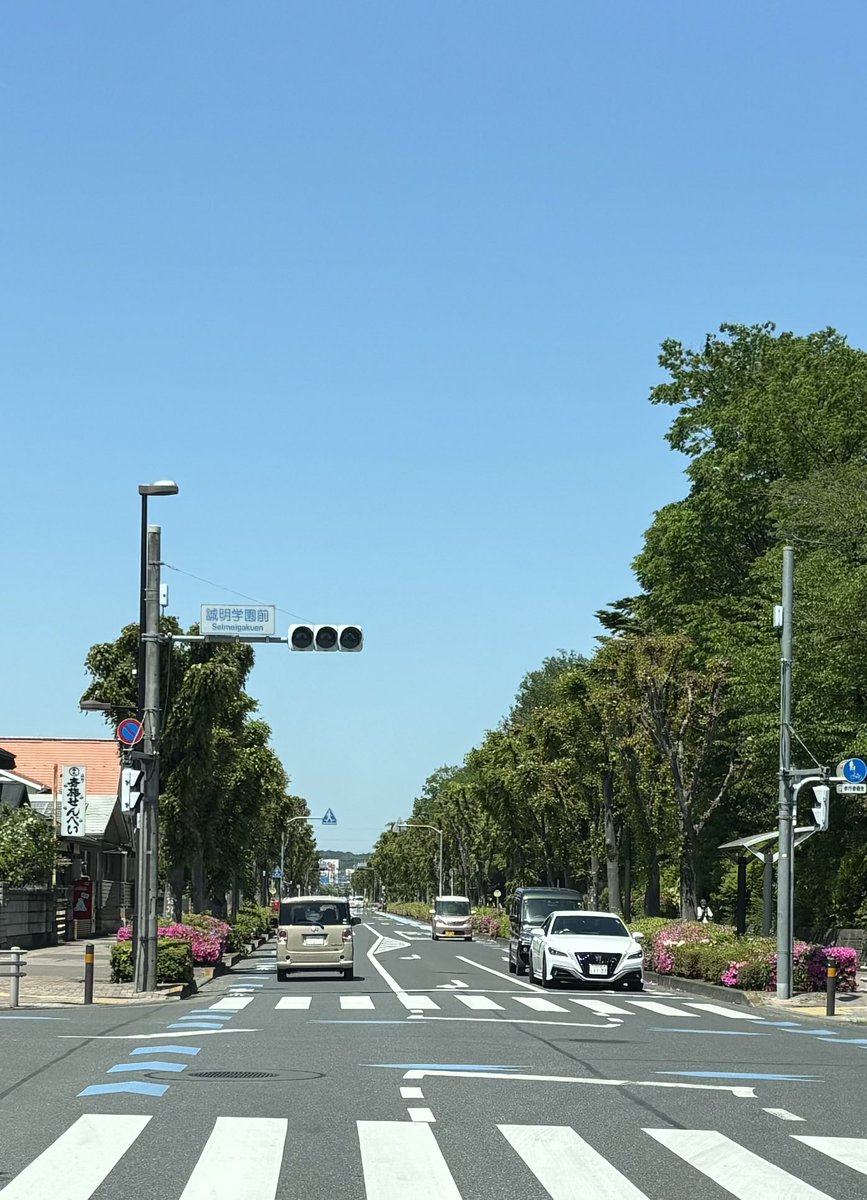 c_yusa's tweet photo. 電線の無い道路…
さっぱりしてていいなぁ👍 https://t.co/rRcgYjy1Cw