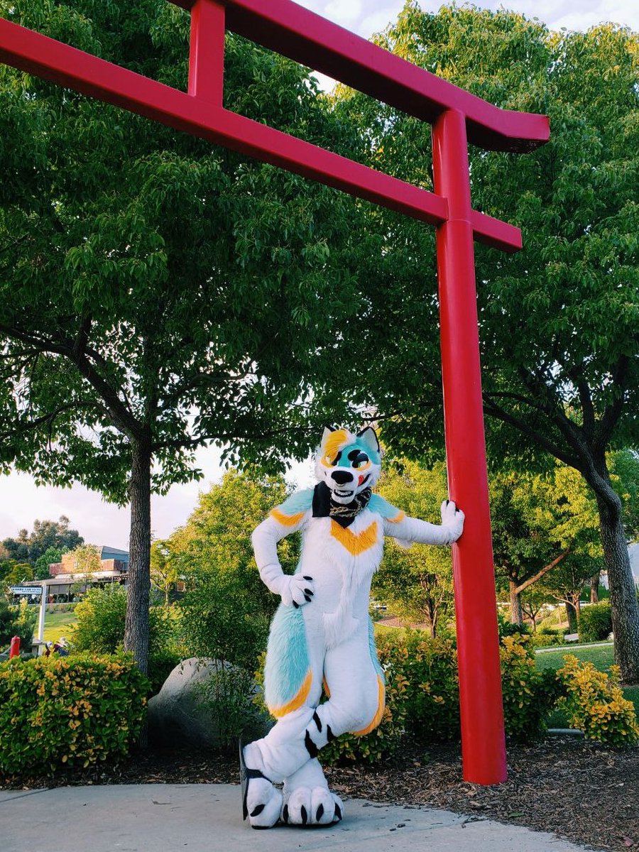 IT'S THE FIRST FURSUIT FRIDAY OF AAPI MONTH AND I'M GONNA KEEP BEING A LOUD & PROUD DOG! WOOF! 🐶💞⛩️
