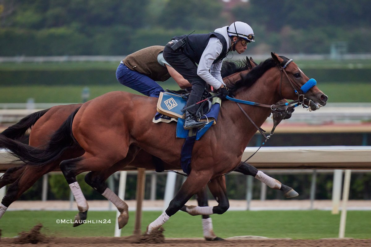 Bullet 5F in 59.80 for Eagle's Flight under Abdul Alsagoor working outside of Anywho 5F in 1:00.20 with assistant trainer Juan Leyva in the irons for trainer John Sadler this morning @santaanitapark @sadlerracing @JuanLeyva1984 @QusoorAl