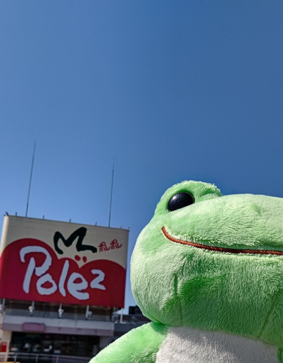nbckasama's tweet photo. 大きな瞳、可愛らしい癒しで大人気の #かえるのピクル が
期間限定で #NBC笠間店 に初登場✨
人気の「ぬいぐるみ」やトートバッグ、キーホルダーなど
カワイイグッズが揃っています。

皆様のご来店お待ちしております。

#笠間ショッピングセンターポレポ
#エヌビーシー笠間店 #文具店 #雑貨 https://t.co/H4ihUGMrAW