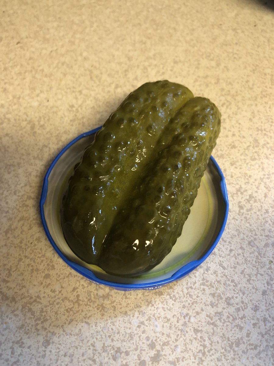 My pickle jar had a conjoined pickle in it; they had fused all along their line of connection.