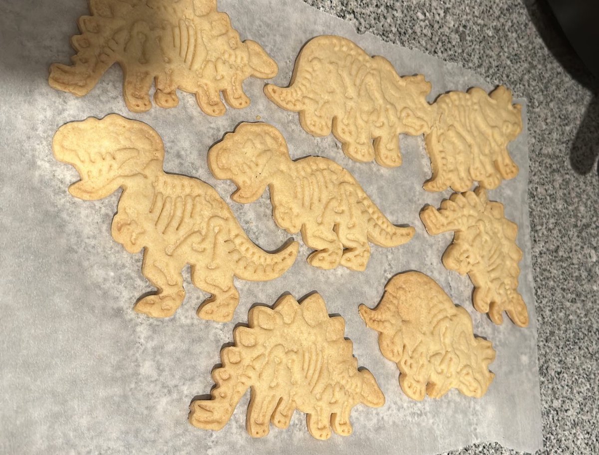 Dino cookies for tomorrow @duelingdinos at @NaturalSciences