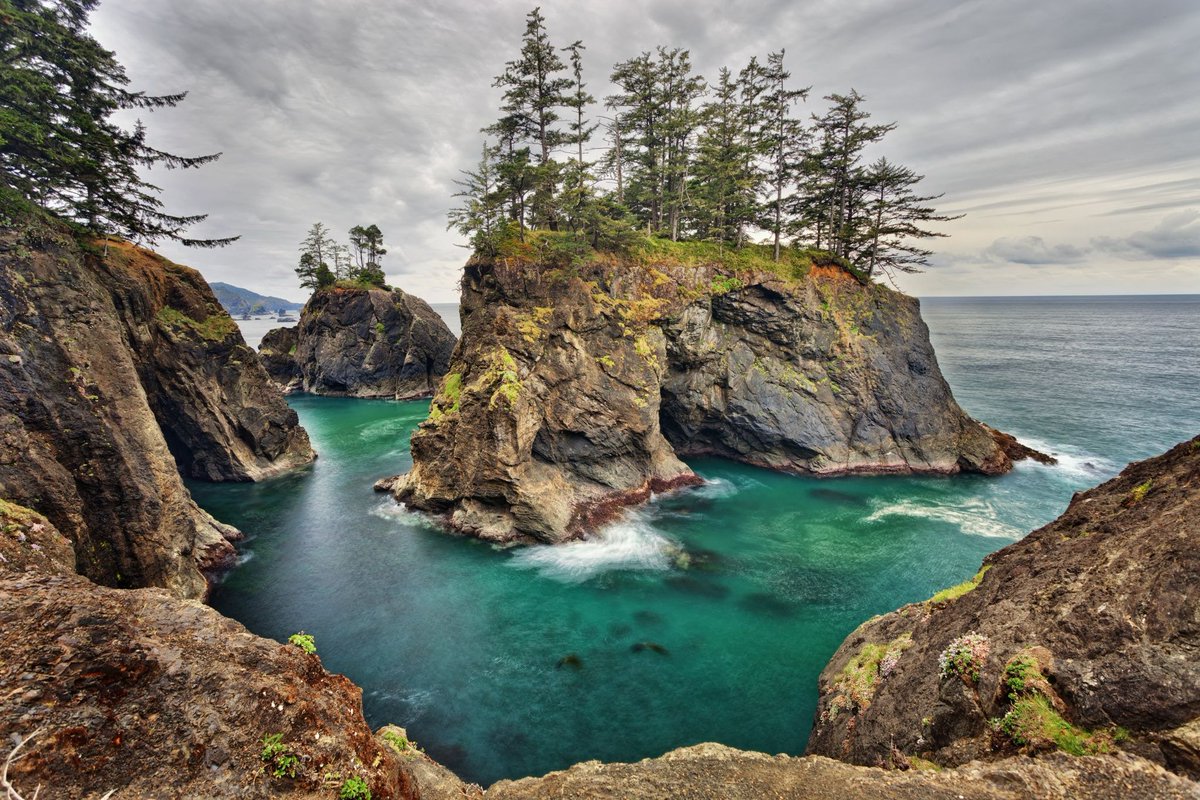 Natural Bridges Cove, Boardman State Park, Brookings, Oregon! 🤩