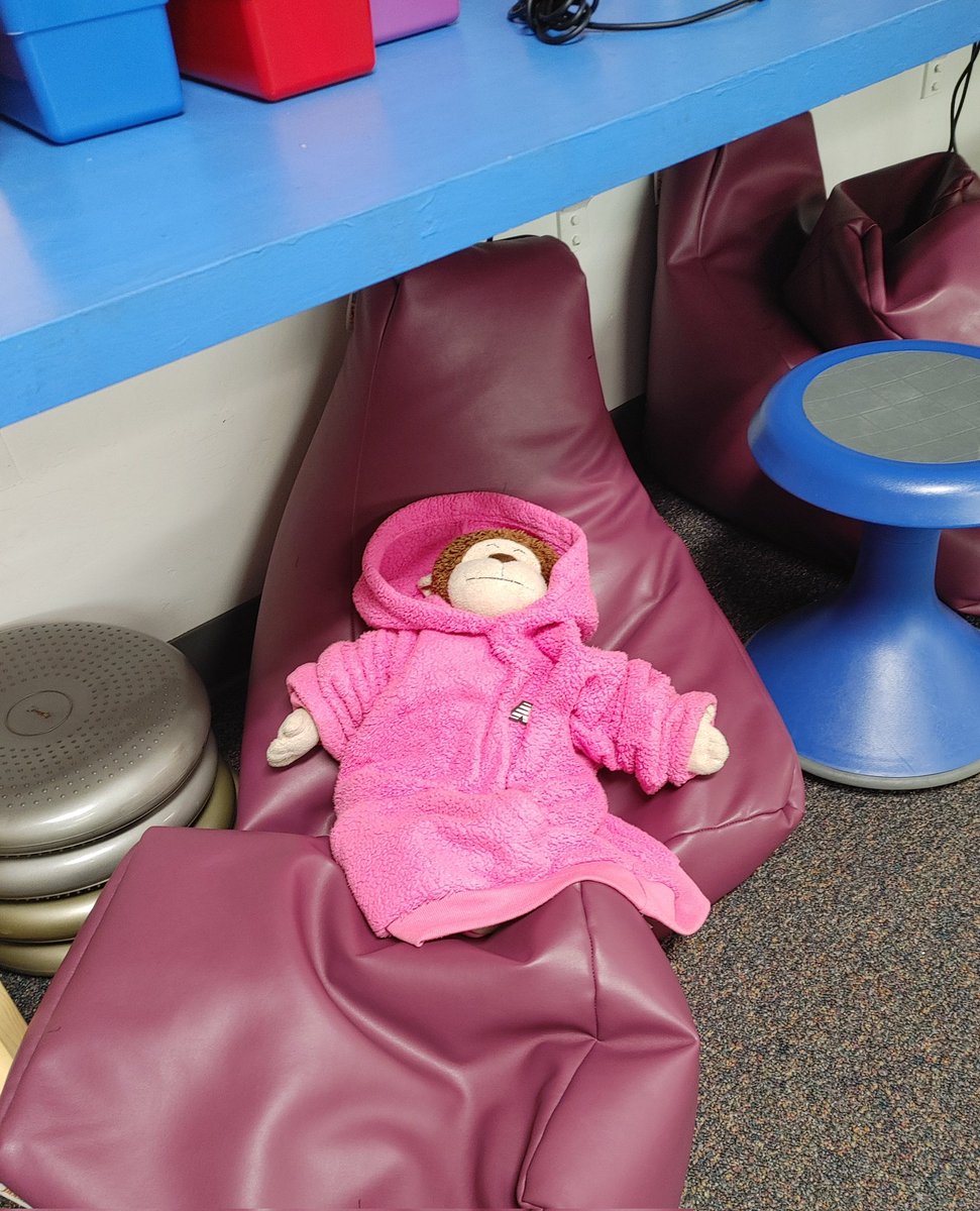 First Grade Monkey tweet media