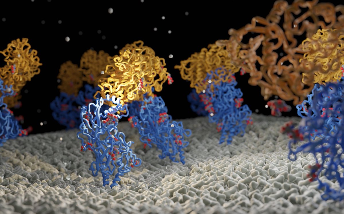 jhschaef's tweet image. Happy to have contributed to solving Gaucher's disease GCase-LIMP-2 complex. Congrats to first Jan Philipp Dobert from Zunke-lab & Arnold-lab and all others. @MoellerGroup @Molecular_Neuro researchsquare.com/article/rs-433… #b3d #cryoEM