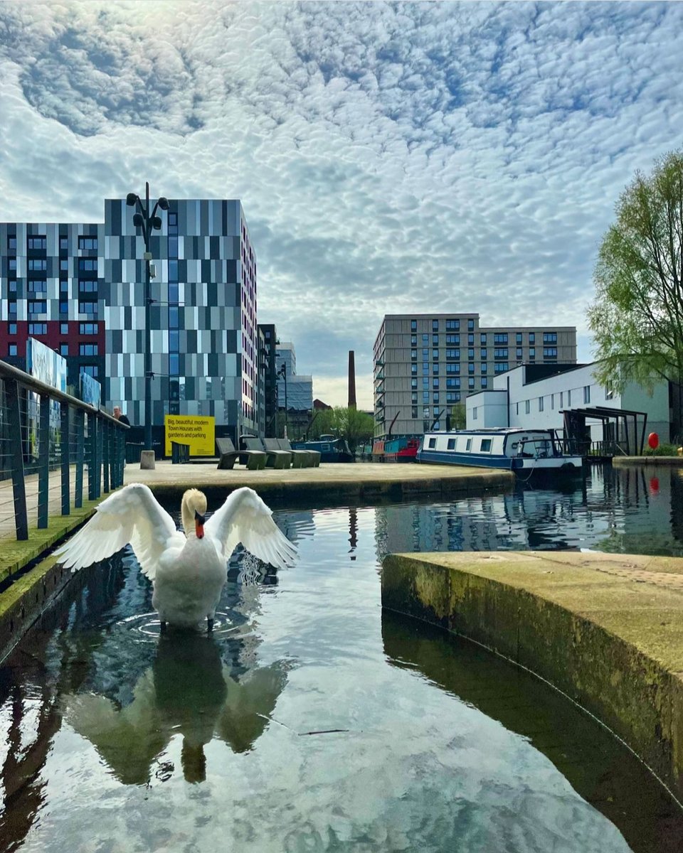 Brilliant 📸 by @jobo_photos.

Weaver’s Quay and One Vesta Street looking 👌 blending into the background.

#manchesterphotography #manchesterlife #ancoats #newislington