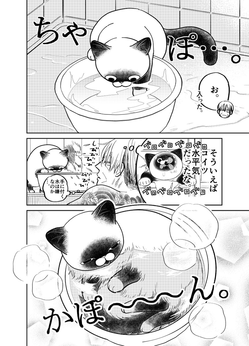 野良猫にお風呂にカチ込まれる元極道の話。

(2/4)

#漫画が読めるハッシュタグ 