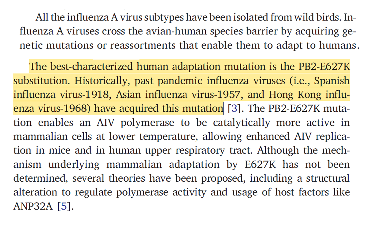 Besides being found in 6 different mammals so far in 13 different U.S states, what concerns me more is the casual mention of the presence of the E627K mutation. It allows faster viral replication in mammalian cells at the upper respiratory tract and is well-known to scientists.…