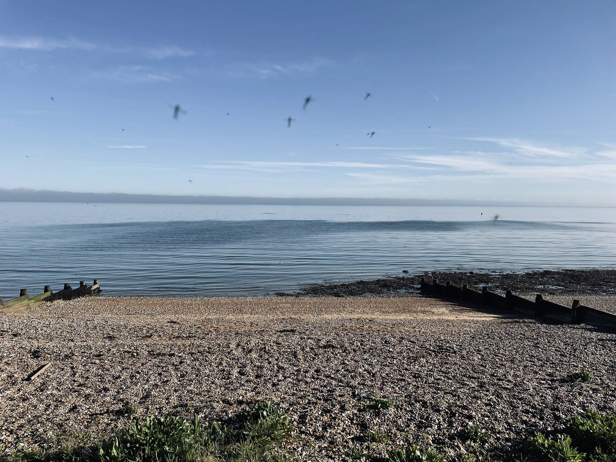 #whitstable #seasalter wonderful sunny morning walk in Whitstable.