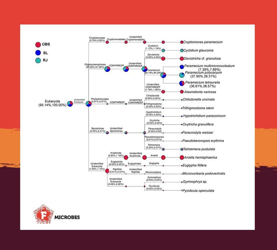 Ciliate diversity majorly contributes to the freshwater #ecosystem and its balance. JS Abraham et al. use DNA #metabarcoding to reveal #ciliate diversity in #Delhi’s freshwater bodies 🧬. #FEMSMicrobes #editor’s choice academic.oup.com/femsmicrobes/a…