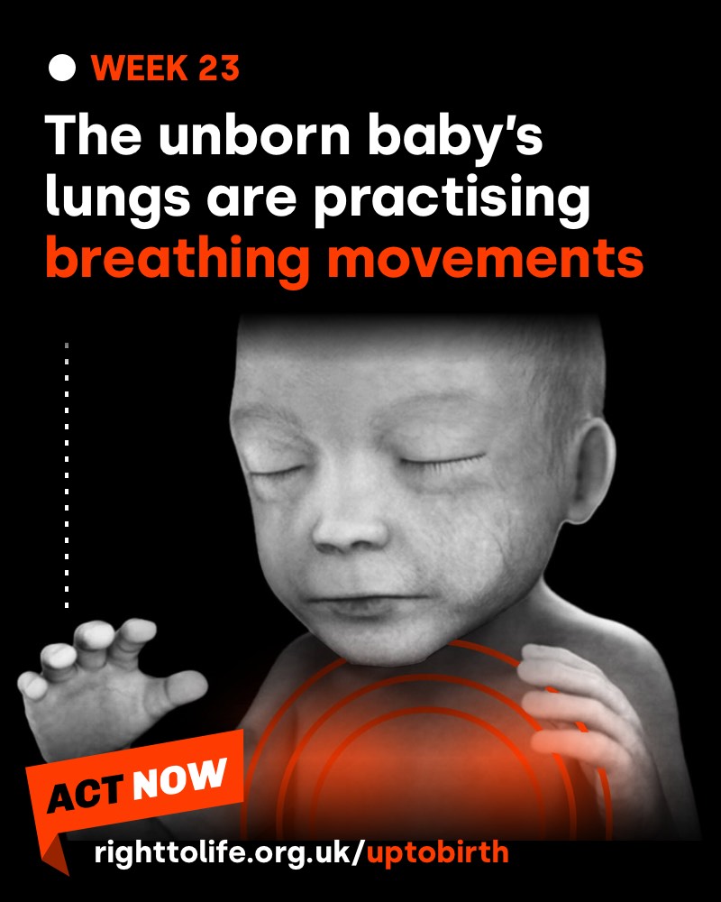 👶Week 23: The unborn baby’s lungs are practising breathing movements to prepare for life outside the womb.🧵 1/4