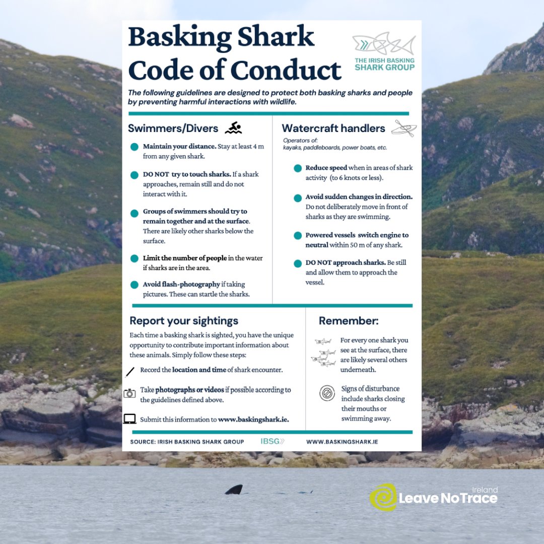 Have you heard of the #BaskingShark #CodeOfConduct? ✅ With the number of sightings of basking sharks in our waters increasing, we wanted to share this great resource made by @baskingirish! Basking Sharks are a protected species, we're so lucky to have them in our waters 💙
