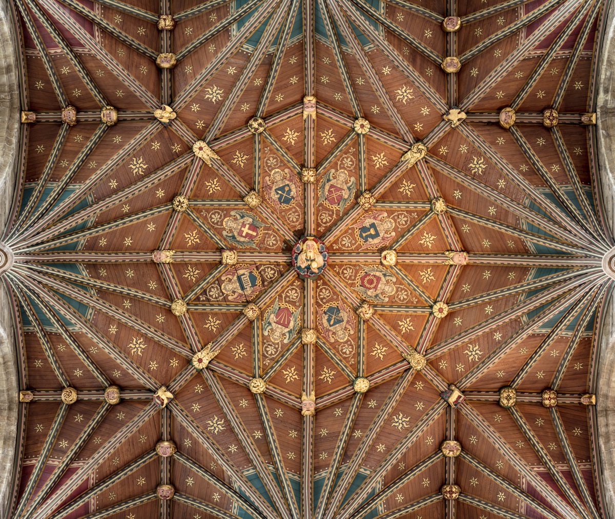A starry ceiling for #StarWarsDay 🌟 May the fourth be with you 💫 📍 @pborocathedral, Peterborough, Cambridgeshire 📸 (c) Michael D Beckwith #StarWars #MayTheFourth #NationalChurchesTrust