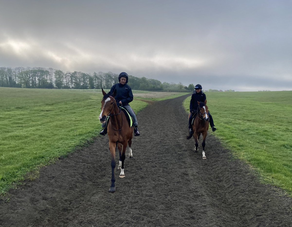 Plenty of water on the ground after yesterday’s rain. Clouds in the sky and a chilly start but it should be a nice day @NewmarketGallop when the sun breaks through. 7 degrees, forecast high 17 #TarbatNess #Dereham #DasKapital