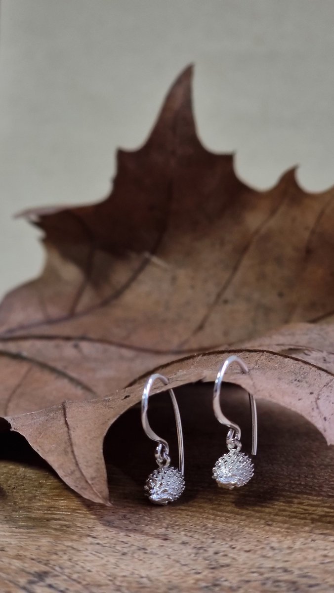 It's almost #hedgehogweek & we've got a competition where you can win a pair of sterling silver earrings from @Reevesandreeves 

To be in with a chance of winning, simply ‘like’ & comment #hedgehogweek on this post!
🦔
We'll choose a winner at random after 8pm tonight!🤞