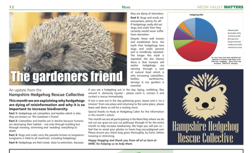 Check out our article this month in Meon Valley Matters pg 12. With thanks @HedgehogCabin for the information.

The link will take you straight there for a clearer read.

#hedgehogs #hampshire #pricklypals

meonvalleymatters.co.uk/Emags/May2024/…