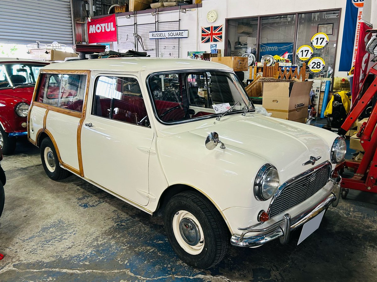 佐藤愛美🐿Ami Sato tweet media