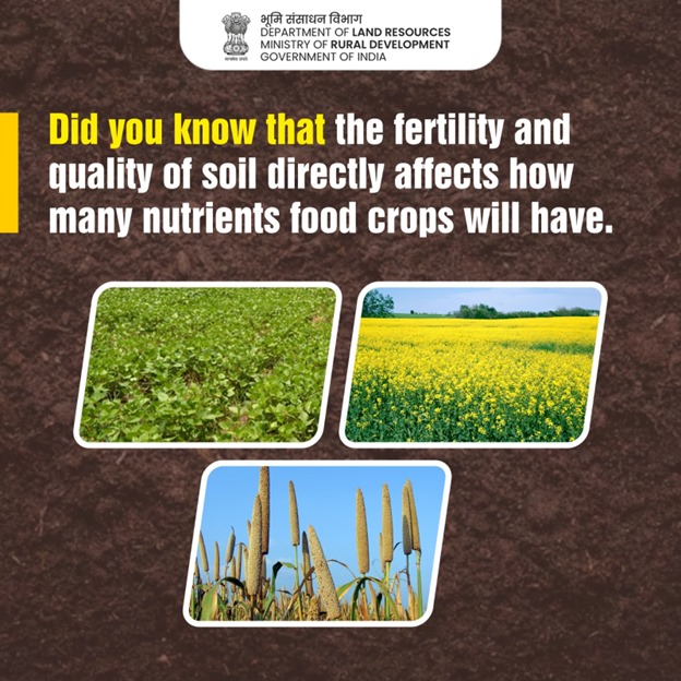Crop diversification promotes soil fertility and reduces the risk of nutrient depletion. 
#CropDiversification #Agriculture #Farmers #SaveSoil #SoilAndWaterConservation #SoilConservation