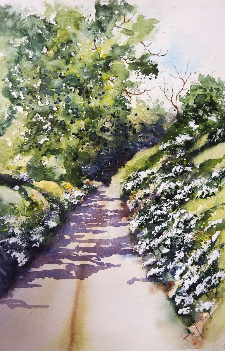 Bank Holiday weekend here in the UK, The sun is out and the cow parsley is blooming ! Happy Saturday x #watercolour #watercolorpainting #lanes #landscape #trees #Spring #cowparsley #freshgreens #sunnydays #bankholidayweekend #flowers #art #painting #artist #paint