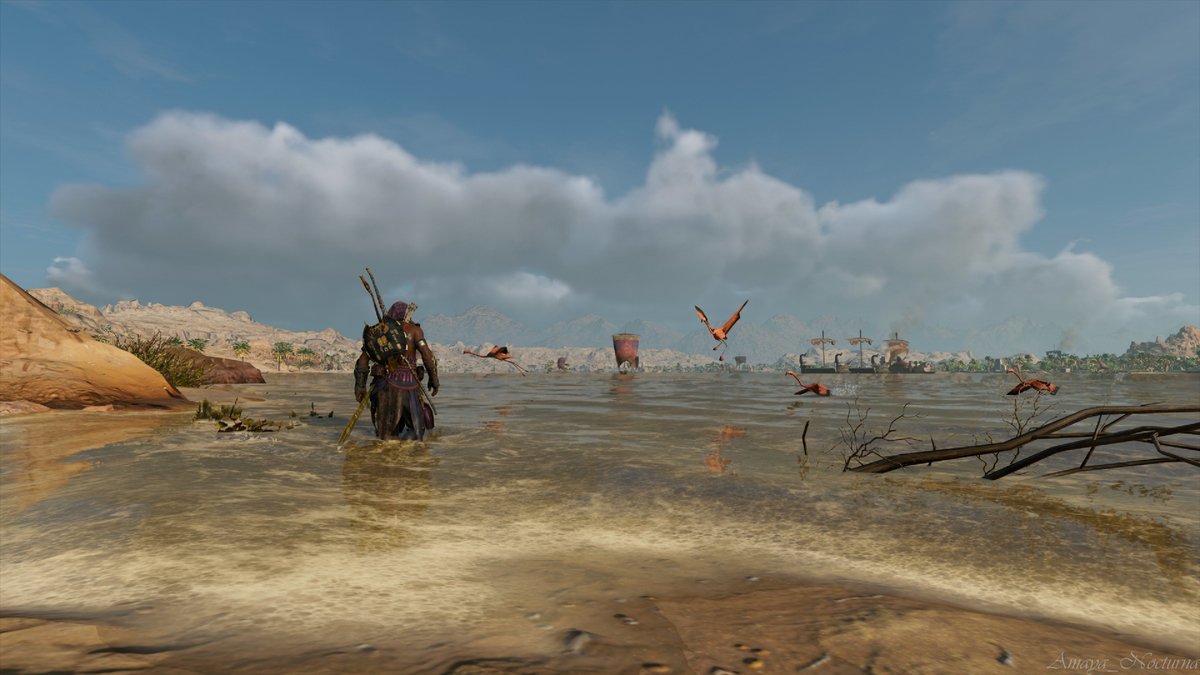 Amaya_Nocturna's tweet image. A Dip in the Nile

#AssassinCreed #AssassinsCreedOrigins #SimpleShotSaturday #VirtualPhotography #VPRT #ACVP #ThePhotoMode