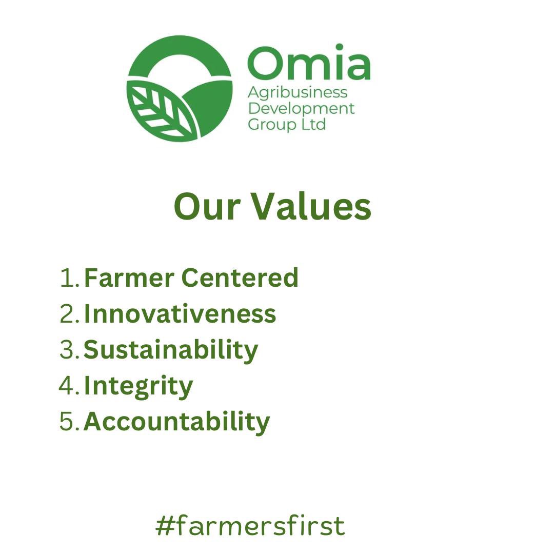 OUR VALUES 💚

#farmersfirst